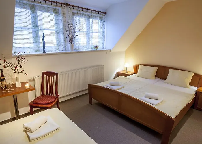 Aurelius Otel *